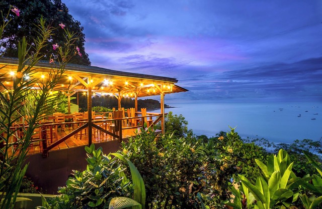 Cotingas Ocean View