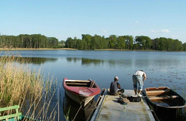 Cottage in the forest, lake and Reiterhofnähe