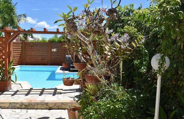 COTTAGE ORCHIDS SAINTE ANNE