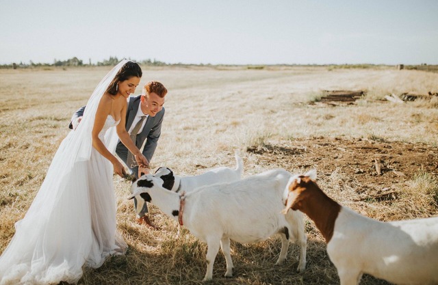 Country Cottage With View Close To UC Davis