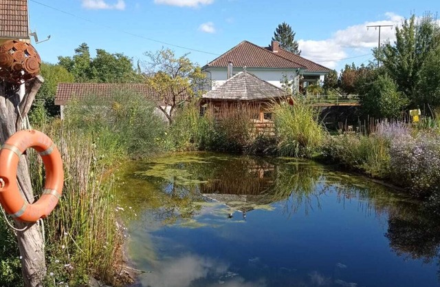 Cozy vacation home with swimming pond and large garden