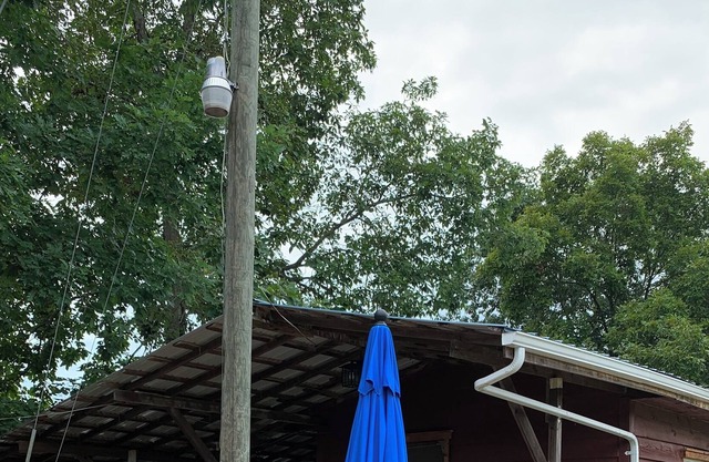 Cozy 2-bedroom cabin with view of Millcreek in and a private dock.