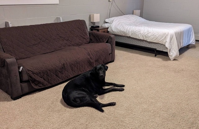 Cozy 2-bedroom in tranquil Hermantown with WiFi
