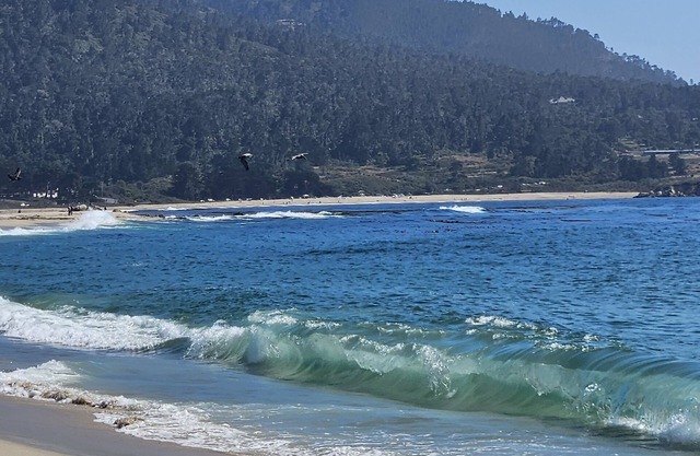 Cozy, all new place with everything you need. Serene views, easy hwy access!