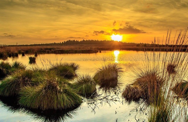 Cozy and detached vacation home/terrace/2000qm garden/Monschau/Eifel