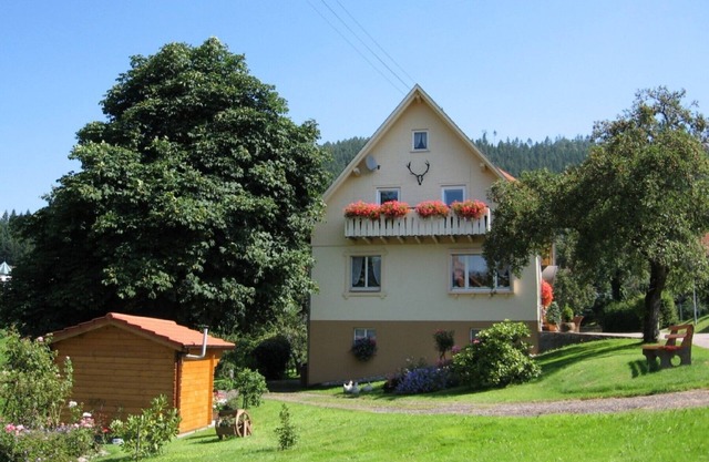 Cozy apartment in the Murg Valley, 9 km from Baiersbronn