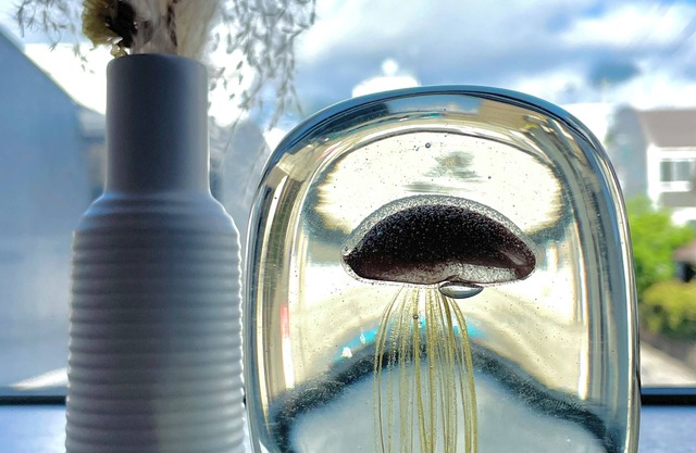 Cozy Apt. In The Heart of Beppu.『Nemuri no yu』201n