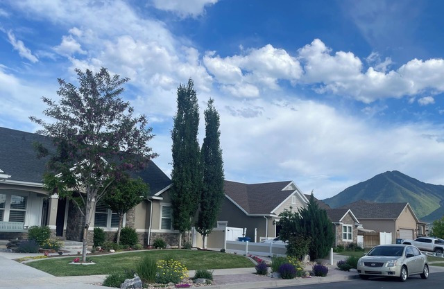 Cozy Basement Home with 6 Beds, 3 Bedrooms, 2 Bathrooms, Laundry Rm, Kitchenette