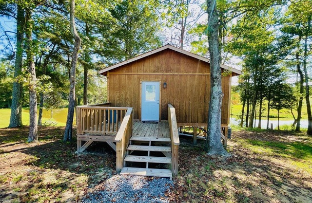 Cozy Cabin by Turtle Creek w/pond view