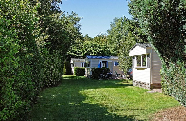 Cozy Chalet in Appelscha near the woods