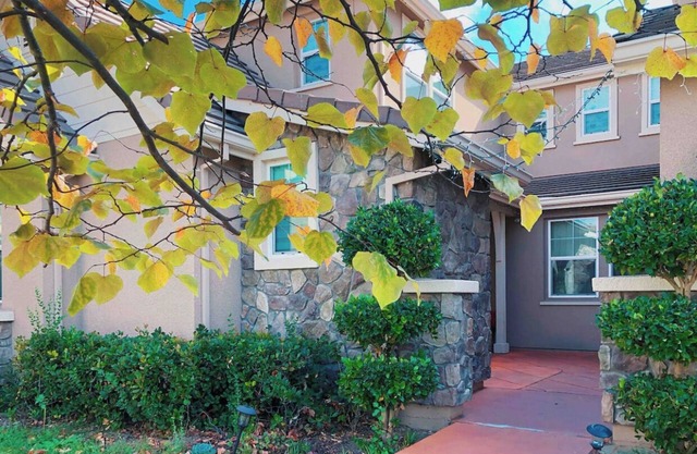 Cozy King 1B1b in great Tri-Valley Area