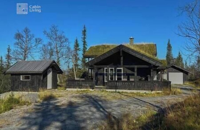 Cozy mountain cabin with sauna, fireplace & bbq