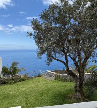 Cozy Sea View House Fajã da Ovelha