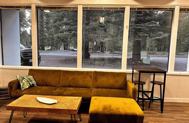 Cozy studio in the woods