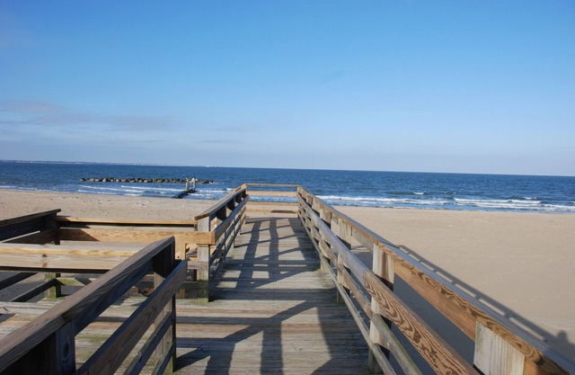 Cozy Suite - Pet Friendly, Beach Side 1 Bedroom Apts by RedAwning
