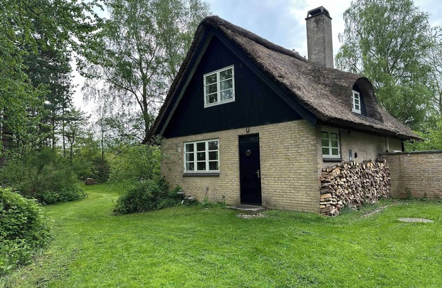 Cozy, thatched cottage with modern décor