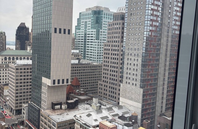 CozyNcute 1-bedroom apartment in downtown Brooklyn steps away from paradise