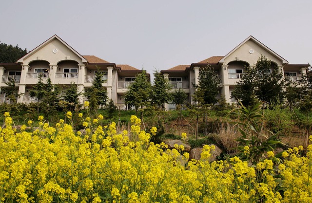 Daea Ulleung Resort