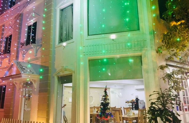 Daffodils Spice Court