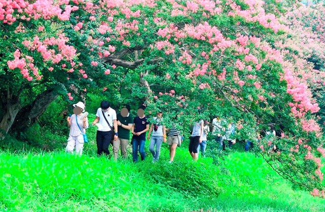 Damyang Daesupyeohaeng Pension