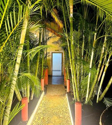 Dandeli Kali Resort