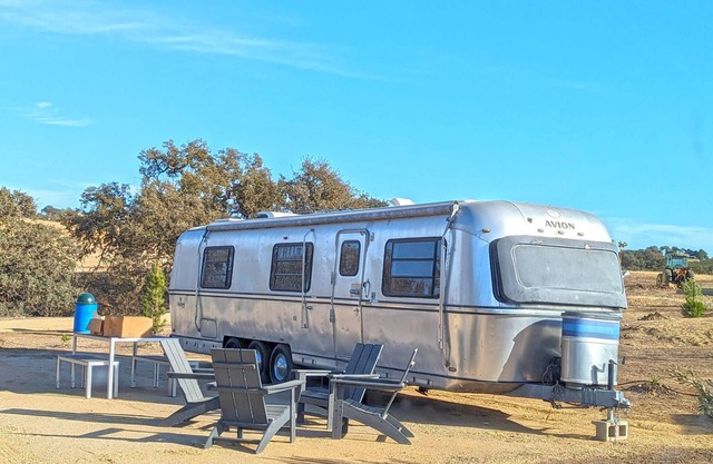 David Bowie Trailer - Bowie Themed Vintage Trailer