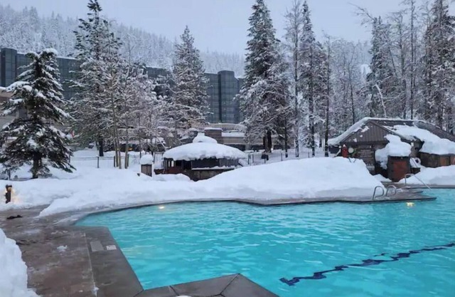 Dav’s Plush Ski-in/Ski-out Studio Condotel with Forest View @ 400 Squaw Creek Rd