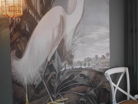 De witte Reiger in Warmenhuizen