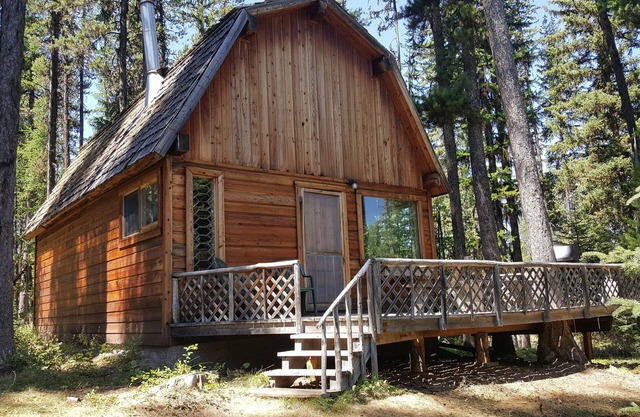 "Deer Leap" Rustic Cabin Hidden Among The Pines.
