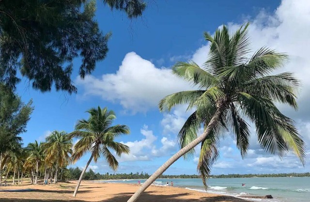 Deluxe Rainforest Beach Condo. Tennis. Golf. Private Beach Gate. Fun In The Sun!