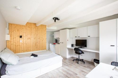 DeLuxe Studio Lumineux et Rénové, Parking Gratuit, MULHOUSE CENTRE