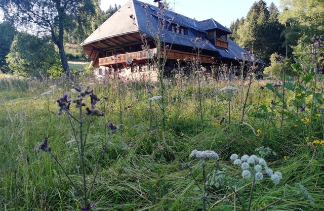 Der Schmidthof