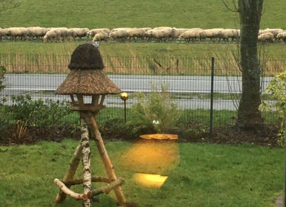Die Seele baumeln lassen in Ostfriesland/ Nordsee