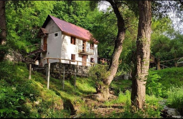 Dili dzor