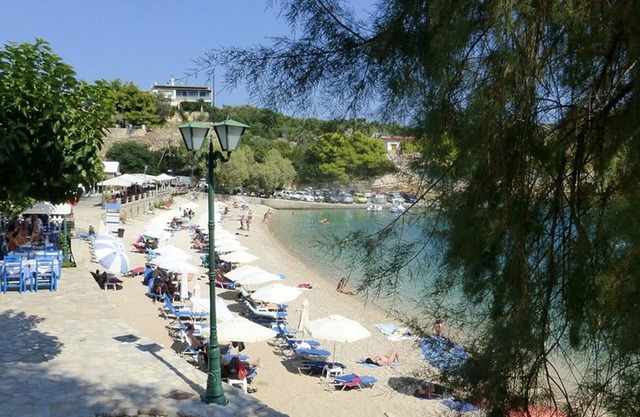 Dina s Flowers - Alonnisos Summer Gem