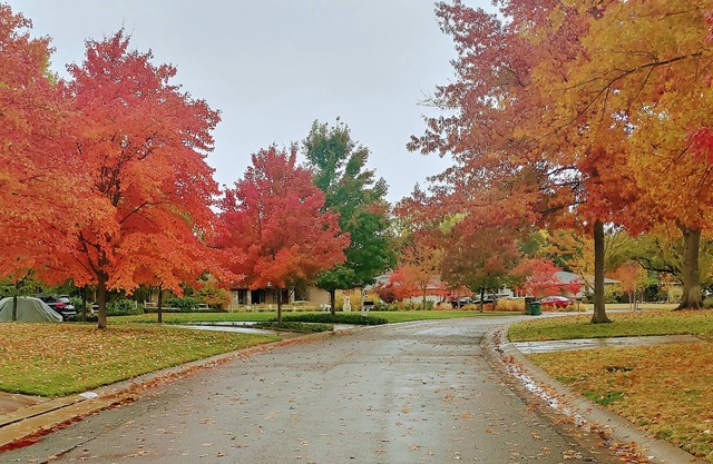 Discover Prestigious Arden Park House River