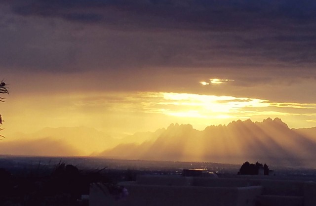 Distinctive Elegance