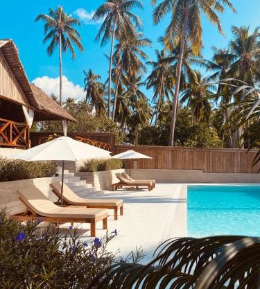 Dive Planet Mafia Island