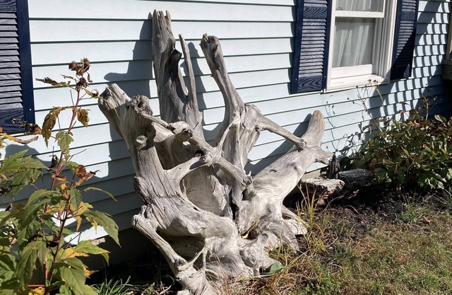 Dog Friendly, 3 Bedroom & 2 full bath, only 5 minute drive to nBeaches!