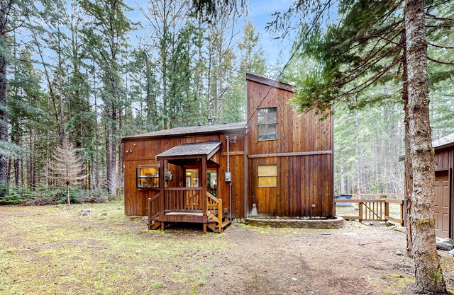 Dog-friendly forest cabin with private hot tub, gorgeous deck & fireplace