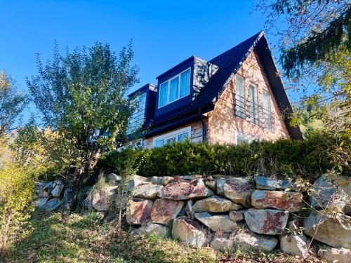 Doinita House