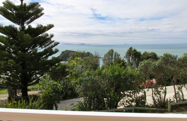 DOLPHIN HIDEAWAY - TUTUKAKA BACH, family friendly in Ngunguru