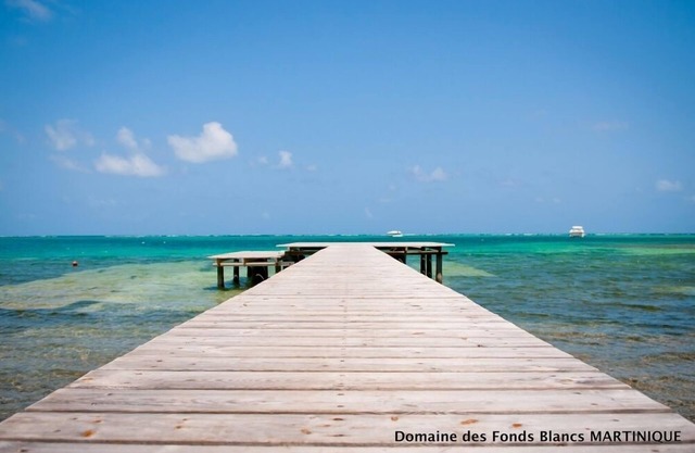 Domaine Des Fonds Blancs - Villa Isabelle - 5 Luxe