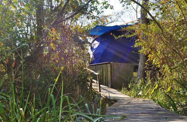 Domo de la Selva Tigre