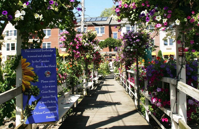 Downtown Cottage-1 bedroom- full kitchen, free wi-fi, free parking