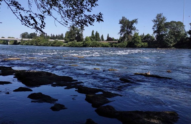 Downtown lodging w/wi-fi & Self Check-in