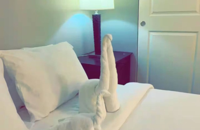 DTW Metro-Airport entire cozy house