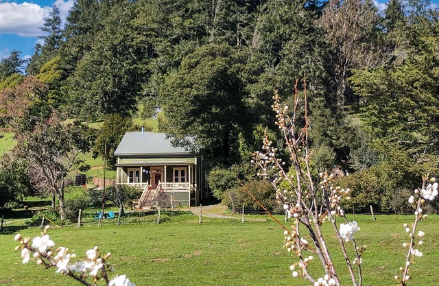 Duncans Mills historic beauty with vast valley views & hot tub - pets ok!