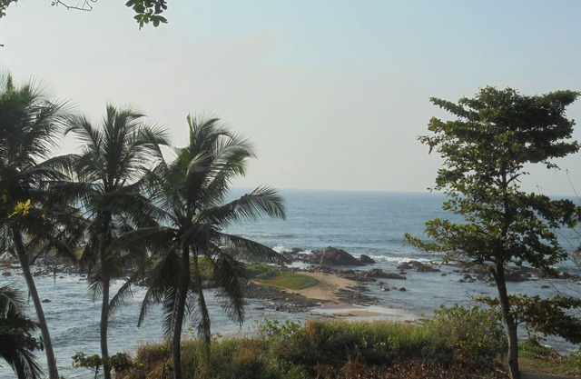 Eagle Homestay