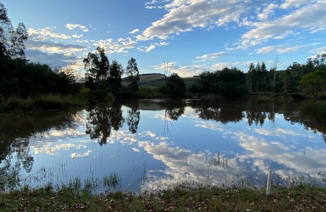 Eagles Rest offers comfortable accommodation situated 9 km outside Greytown